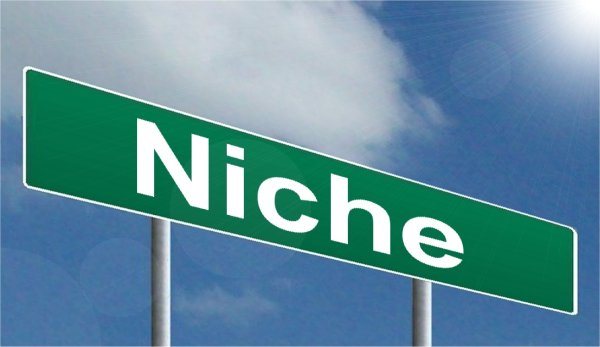 what is a niche in internet marketing?