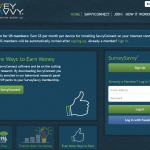 what is survey savvy about