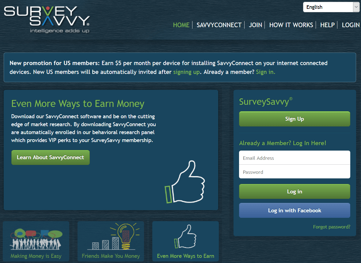 what is survey savvy about